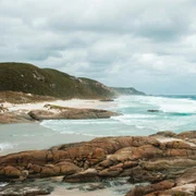 pexels lachlan ross 7084107 jpg