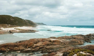 pexels lachlan ross 7084107 jpg