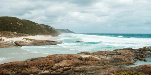 pexels lachlan ross 7084107 jpg