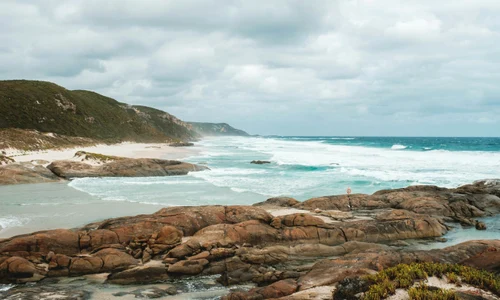 pexels lachlan ross 7084107 jpg