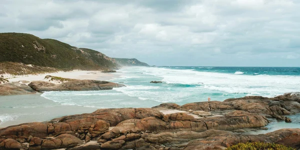 pexels lachlan ross 7084107 jpg