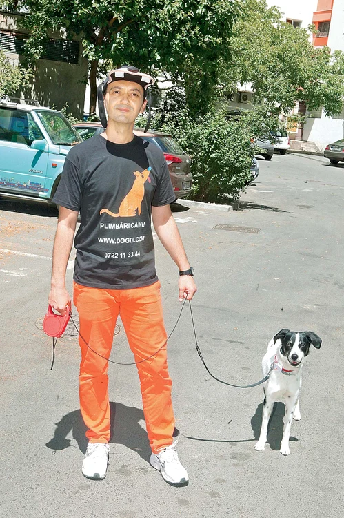 
    Florin de la firma DogDi a plimbat-o pe Mimi în locul stăpânului ei  