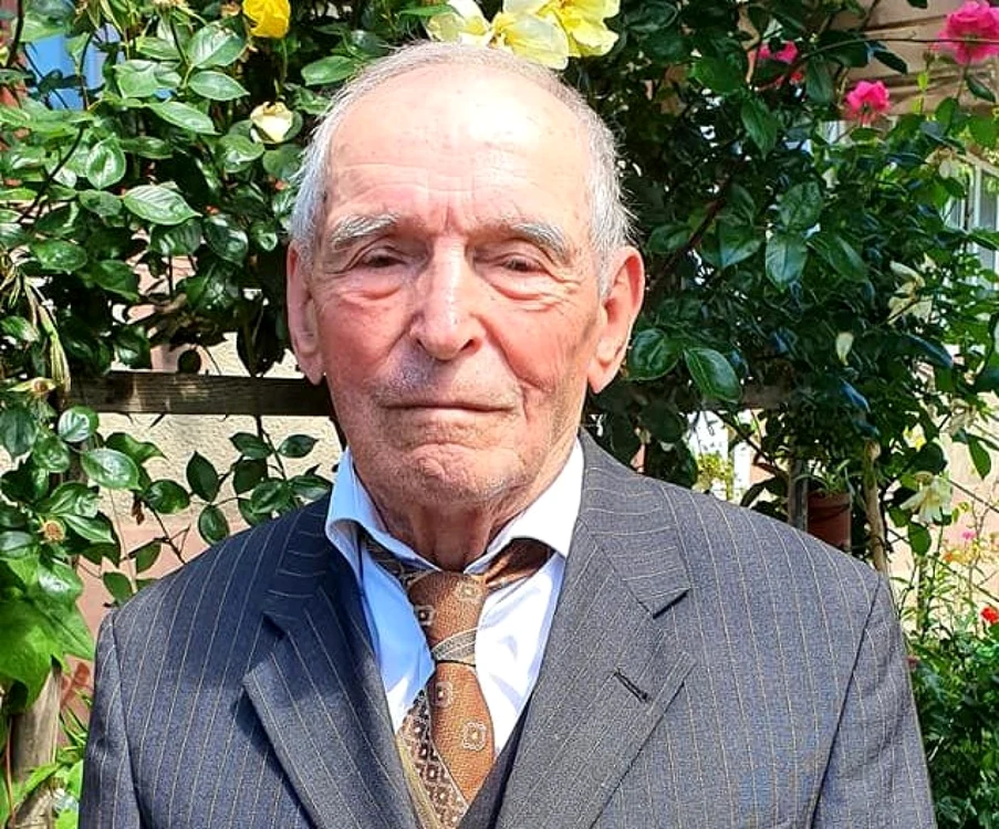 veteran alba