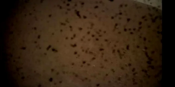 Prima imagine cu Marte de la robotul InSight FOTO NASA