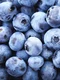 Afine, foto Pinterest jpg