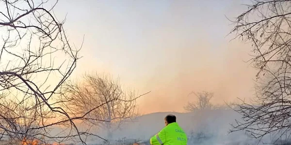 incendiuvegetatie