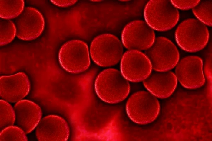 Pe măsură ce boala avansează, funcția cognitivă începe să scadă drastic.www.clickpentrufemei.ro