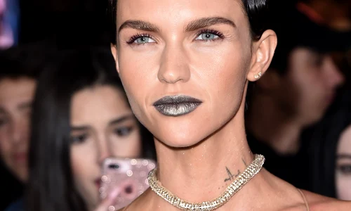 'xXx: The Return of Xander Cage' film premiere, Los Angeles, USA   19 Jan 2017 jpeg