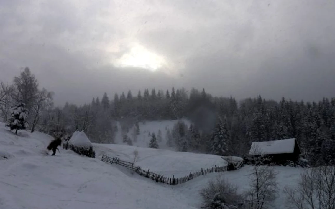 curmatura jietului foto vasile laurentiu sorin