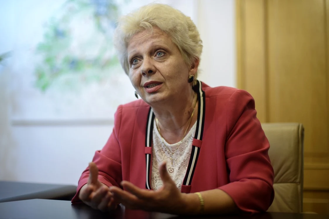 Doina Pana FOTO Mediafax