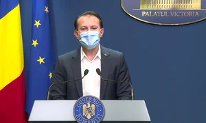 florin citu 0 png