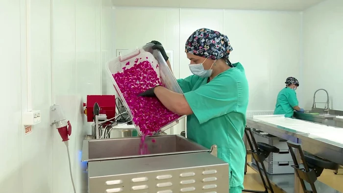 Daciana Tarași și Constantin Pascu au creat un produs unic în țară