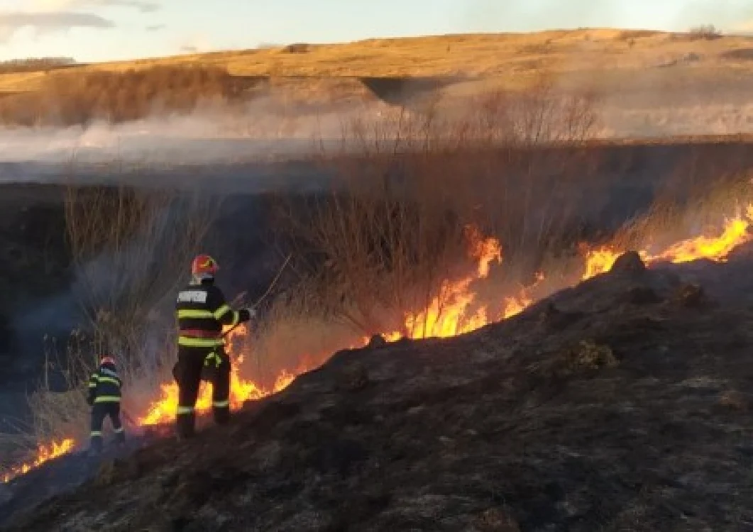 Incendii de vegetaţie în Botoşani FOTO botosaninews.ro