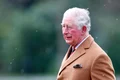 printul charles jpeg