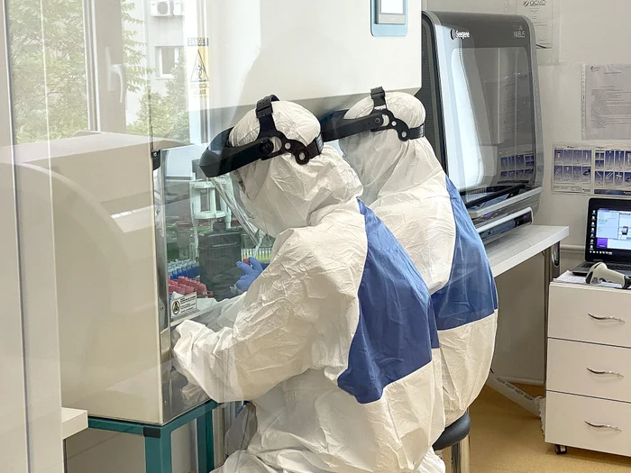 1 laborator 3 jpg jpeg