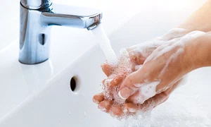 shutterstock 1614948739 jpg