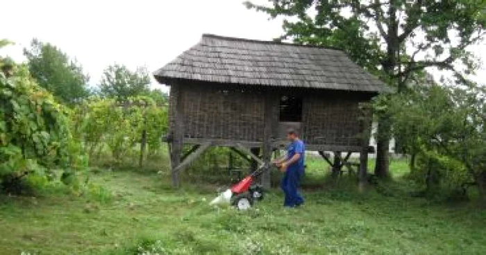 Râmnicu Valcea: Se tunde iarba la Muzeul Satului Vâlcean