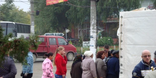 Braila