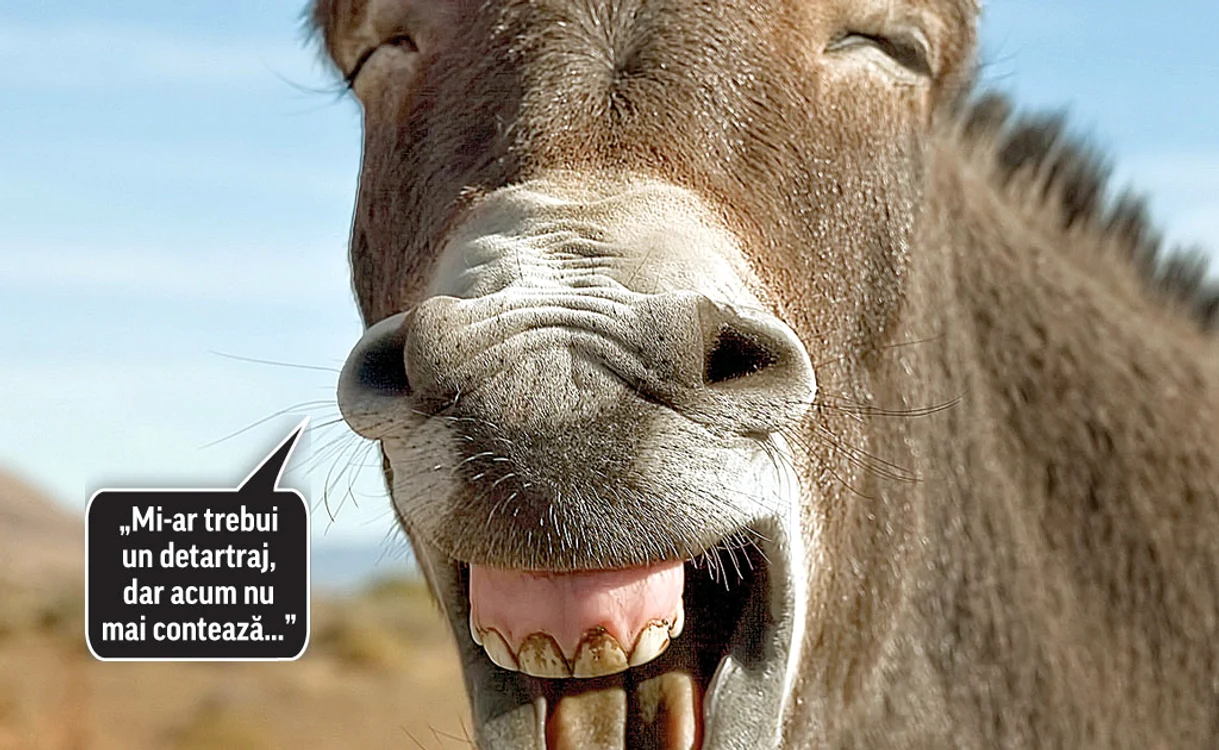 Foto: Photoland/Caters/pentruanimale.ro