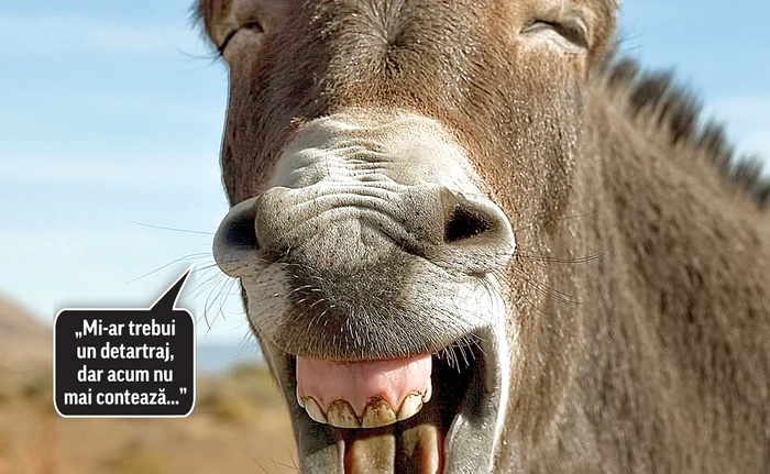 Foto: Photoland/Caters/pentruanimale.ro