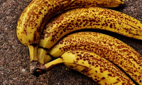 1 75918 original jpg jpeg