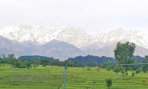 baza muntii himalayac48023 0 jpeg