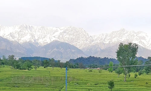baza muntii himalayac48023 0 jpeg