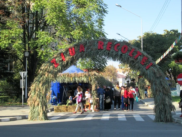 Targul este organizat in acest an pe strada General Praporgescu, in fata Consiliului Judetean. Foto Adevarul