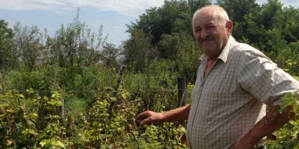 Valuta forte a oltenilor din Băileşti