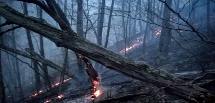 Incendiu în pădurile de pe Valea Oltului, Brezoi - zona „Debuşare”, de lângă DN 7 / E 81; Foto: ISU Vâlcea