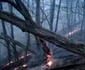 Incendiu în pădurile de pe Valea Oltului Vâlcea Brezoi zona Debuşare de lângă DN 7 - E 81 Foto ISU Vâlcea 