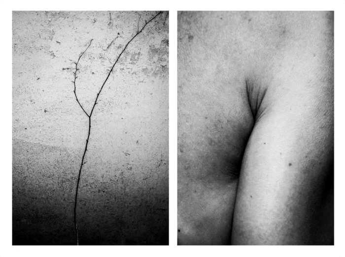 proiect foto Alicja Brodowicz