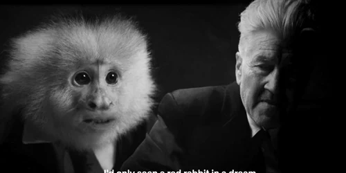 david lynch