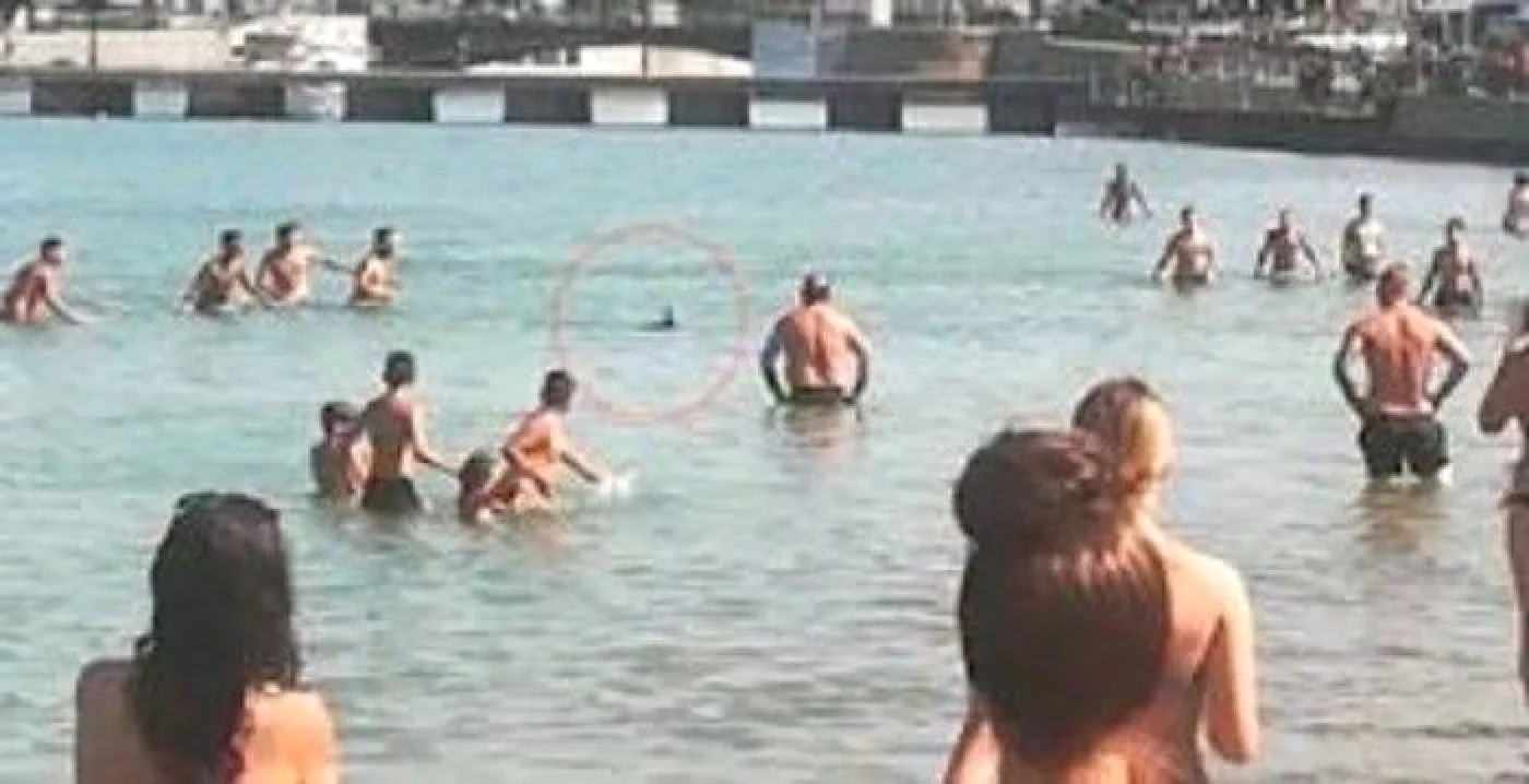 Turişti atacând un peşte-spadă în Grecia, foto Twitter GrecoNews