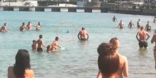 Turişti atacând un peşte-spadă în Grecia