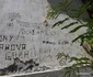 Comuna Plenița județul Dolj Foto Daniel Guță ADEVĂRUL (53) JPG