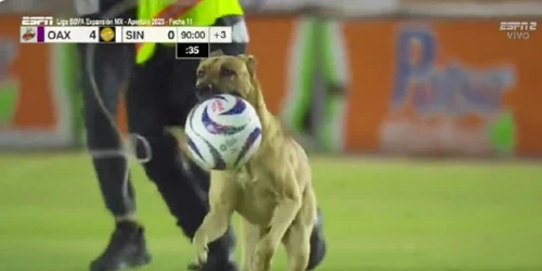 Meci de fotbal din Mexic, întrerupt după ce un patruped a „furat” mingea Foto Captură video X (Twitter) jpg