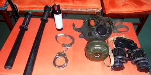 Demonstraţie de arte marţiale