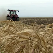 tractor arat porumb png
