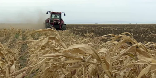 tractor arat porumb png