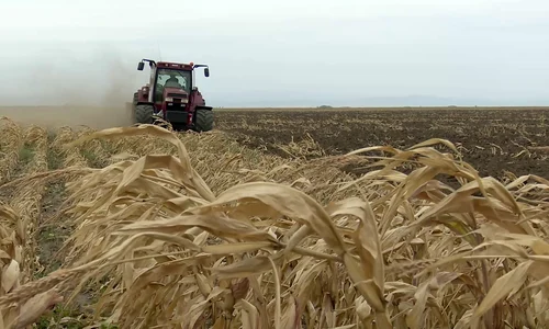 tractor arat porumb png