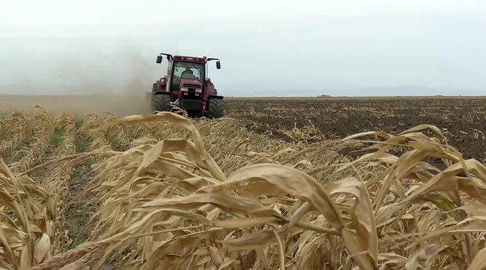 Un singur tractor este ocupat cu aratul. FOTO Iulian Bunilă