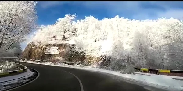 61e0121a5163ec4271a7220a jpg