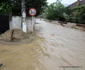 inundatii bosorod