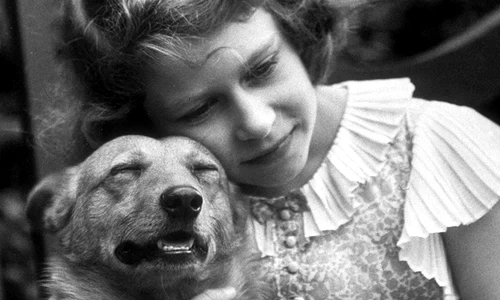 regina elisabeta jpeg