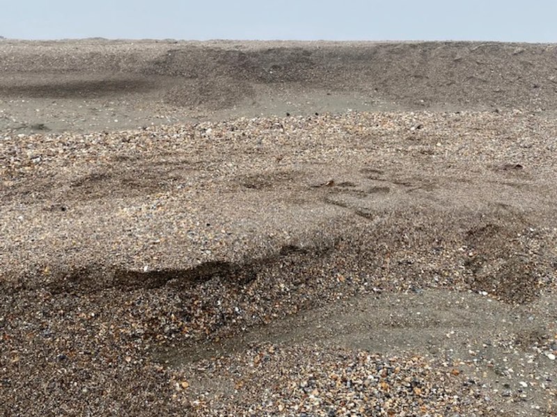 Avertismentul specialiștilor și salvamarilor pentru turiștii și locuitorii din Mamaia. Fenomenul periculos de la malul Mării Negre VIDEO