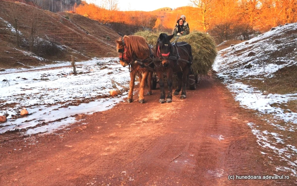 Drumul prin carieră. Foto: Daniel Guţă. ADEVĂRUL