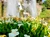 vila d este IMG20220524160546 jpg