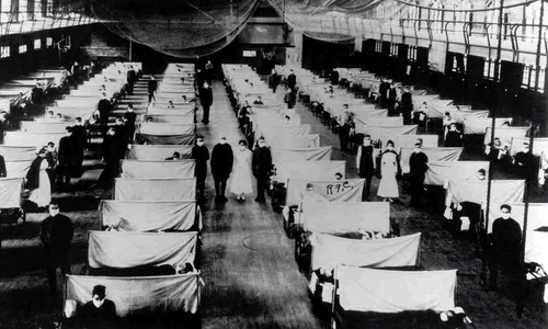 Microbii scriu istoria dacă oamenii le disprețuiesc puterea jpeg