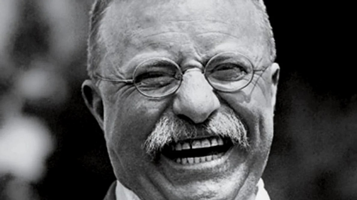 Theodore Roosevelt vs  Woodrow Wilson jpeg